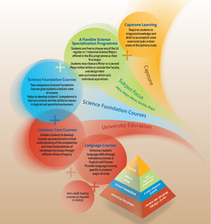 Curriculum Structure of the BSc Degree (240 credits) (for 2020-21 intake and thereafter) - Language Courses, Common Core Courses, Science Foundation Courses, Majors, Minors & Capstone Learning